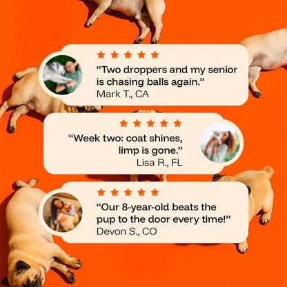 PawLabPrint