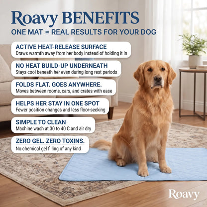 Roavy™ Cooling Mat