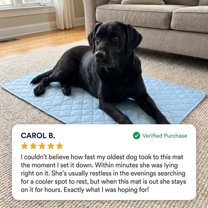 Roavy™ Cooling Mat
